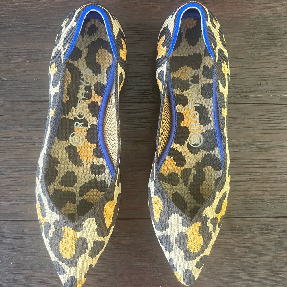 Rothy’s Big Cat pointed flats